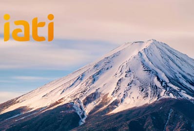 Iati Seguros